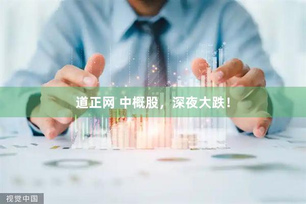 道正网 中概股，深夜大跌！