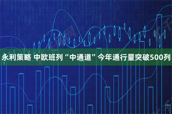 永利策略 中欧班列“中通道”今年通行量突破500列