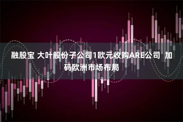 融股宝 大叶股份子公司1欧元收购ARE公司  加码欧洲市场布局